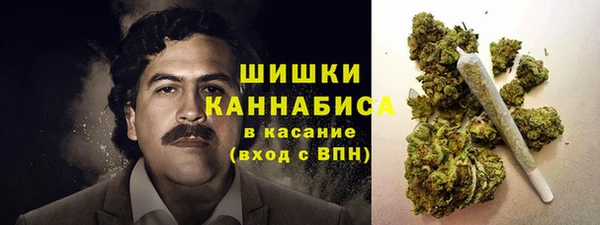 не бодяженный Дмитриев
