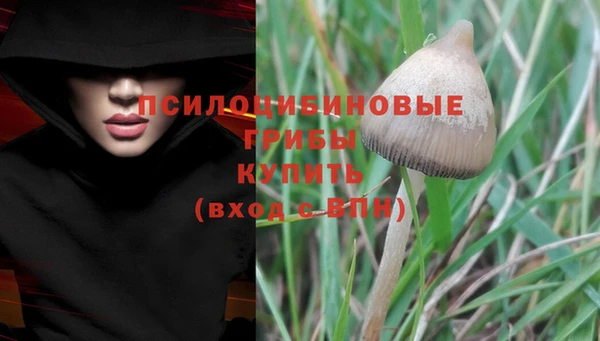 синтетический гашиш Гусь-Хрустальный