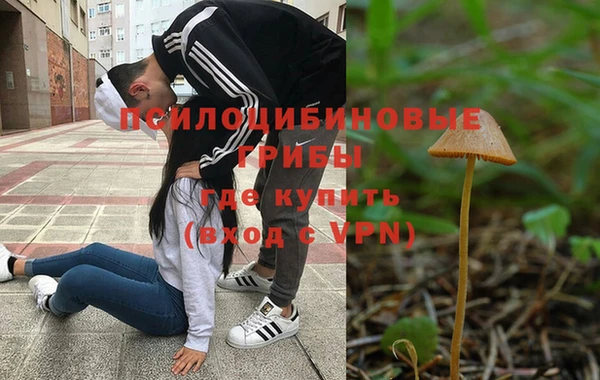 ешки Дмитровск