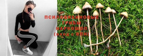 твердый Гусиноозёрск