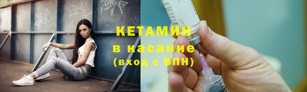 крисы Дмитров
