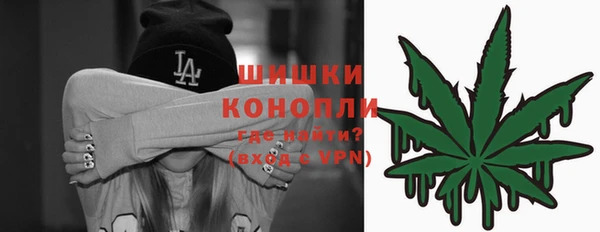 крисы Дмитров