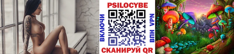 Галлюциногенные грибы Cubensis Купить где Белая Холуница