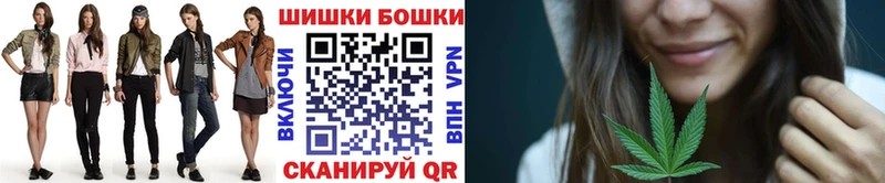 Купить  Белая Холуница  Бошки Шишки ГИДРОПОН 